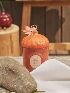 Sinsay - Świeczka Autumn Harvest - pomarańczowy