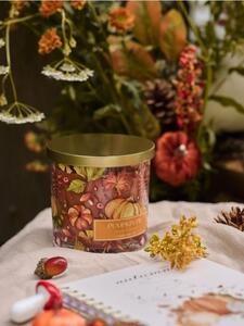 Sinsay - Świeczka Pumpkin Pie - pomarańczowy