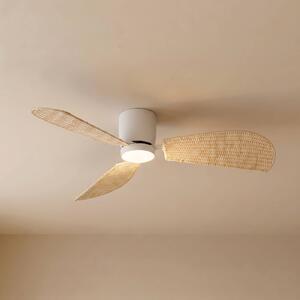 Wentylator sufitowy LED Lucande Faipari, biały/rattan, DC, 132 cm Faipari, biały / opal, salon / jadalnia, drewno, nowoczesny