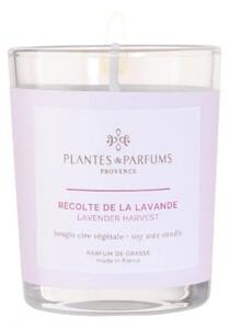 Świeca zapachowa perfumowana 75g - Lavender Harvest - Lawendowe Zbiory