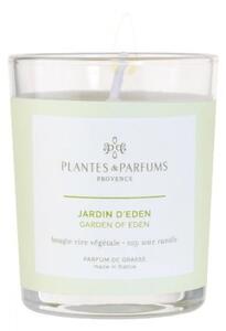 Świeca zapachowa perfumowana 75g - Garden of Eden - Ogrody Edenu