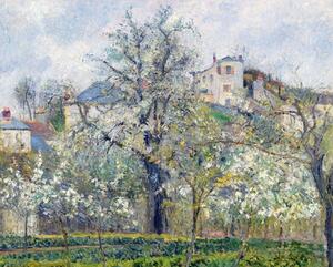 Reprodukcja The Vegetable Garden with Trees in Blossom Spring Pontoise, Camille Pissarro