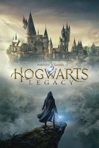 Druk artystyczny Harry Potter - Hogwarts Legacy