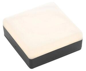 Lucande - Thilo LED Ogrodowe Lampa Sufitowa w/Sensor Grey
