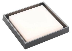 Lucande - Birta LED Square Ogrodowe Lampa Sufitowa 27x27 Dark Grey
