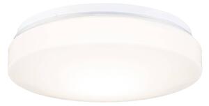 Paulmann Axin lampa sufitowa IP44 z oprawą E27