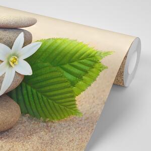 Fototapeta biały kwiat i kamienie na piasku