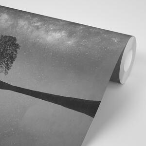 Fototapeta czarno-białe gwiaździste niebo nad samotnym drzewem