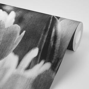 Samoprzylepna tapeta czarno-białe tulipany w stylu retro