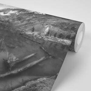 Samoprzylepna fototapeta majestatyczne czarno-białe góry