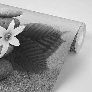 Samoprzylepna fototapeta czarno-białe kamienie na piasku