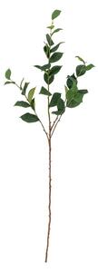 Sztuczny eukaliptus (wysokość 110 cm) Eucalyptus – Bloomingville