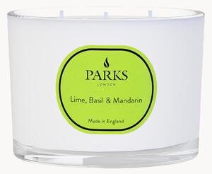 Świeca zapachowa z trzema knotami Vintage Aromatherapy (limonka, bazylia & mandarynka)
