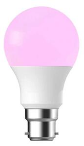 Nordlux - Żarówka Smart Colour 8W (806lm) 2200-6500K Dim. White B22