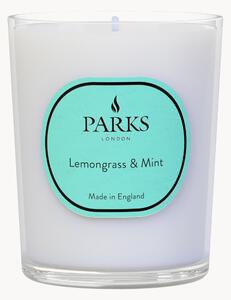 Ręcznie wykonana świeca zapachowa Vintage Aromatherapy (trawa cytrynowa, mięta & cytrusy)