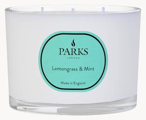 Ręcznie wykonana świeca zapachowa z trzema knotami Vintage Aromatherapy (trawa cytrynowa, mięta & cytrusy)