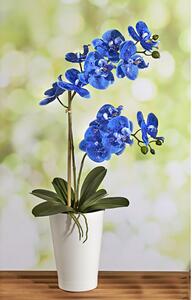 ASTOREO Niebieska orchidea
