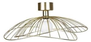 Globen Lighting - Ray 60 Lampa Ścienna/Sufitowa Mosiądz