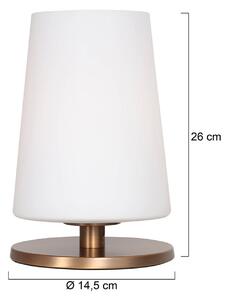 Steinhauer Lampa stołowa Ancilla, brązowy / mosiężny, salon / jadalnia, metal