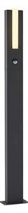 Lucande - Virgalia LED Lampa Ogrodowa H100 w/Sensor Graphite