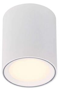 Nordlux - Fallon Reflektor Sufitowy Long White/White