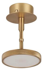 UMAGE - Asteria Spot Lampa Sufitowa Plated Brass
