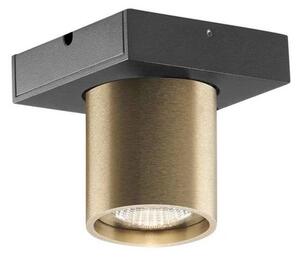 LIGHT-POINT - Focus Mini 1 LED Lampa Sufitowa 3000K Brass
