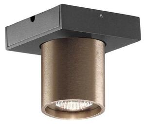 LIGHT-POINT - Focus Mini 1 LED Lampa Sufitowa 3000K Rose Gold