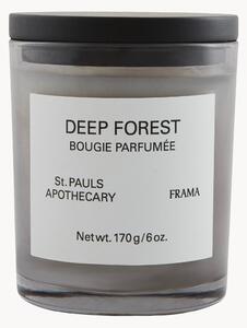 Świeca zapachowa Deep Forest (pomarańcza, biała róża, drzewo cedrowe & paczula)