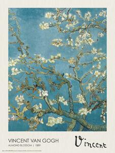 Plakat, Obraz Almond Blossoms, Vincent van Gogh