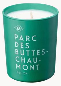 Świeca zapachowa Parc Des Buttes-Chaumont (Cedr, bursztyn)