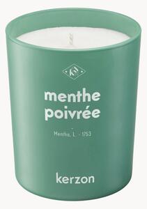 Świeca zapachowa Menthe Poivrée (mięta pieprzowa, szałwia)