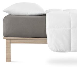 Ciemnoszare dżersejowe prześcieradło z gumką 160x200 cm Boxspring – Andrea Simone