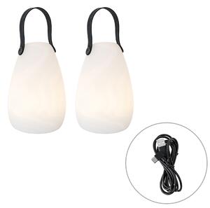 Zestaw 2 lamp stołowych białych RGBW ładowanych akumulatorowo IP54 - Pion
