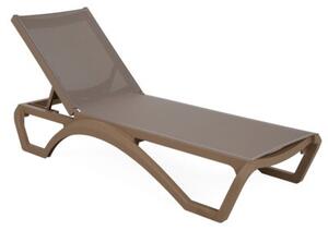 Leżaki HOME & GARDEN Monako 458411 Brązowy
