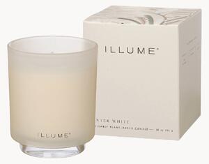 Świeca zapachowa Winter White (cytrusy & kardamon)