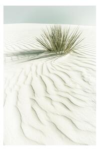 Plakat, Obraz Melanie Viola - White sands, (40 x 60 cm)