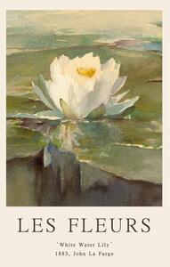 Reprodukcja White Water Lily Les Fleurs The Flower Collection