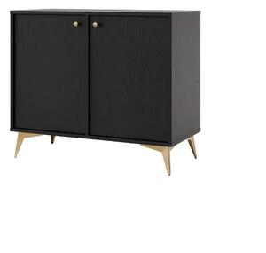 Komoda dwudrzwiowa do salonu Sakai 1 2F T812 Czarny