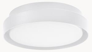 Zewnętrzna lampa sufitowa LED Oliver
