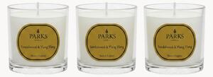 Komplet ręcznie wykonanych świec zapachowych Vintage Aromatherapy (drzewo sandałowe, ylang-ylang & ciepły bursztyn), 3 elem