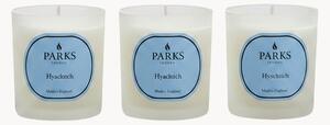 Komplet ręcznie wykonanych świec zapachowych Vintage Aromatherapy (hiacynt, zielone kwiaty & białe piżmo), 3 elem
