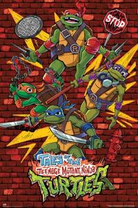 Plakat, Obraz Tales of the Teenage Mutant Ninja Turtles