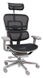 Fotel biurowy Ergohuman 2 Elite GS Black, czarny, ergonomiczny, siatkowy
