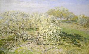 Reprodukcja Spring Fruit Trees in Bloom 1873, Claude Monet