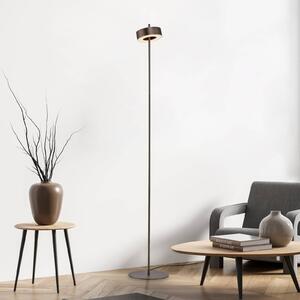Q-Smart-Home Paul Neuhaus Lampa stojąca LED Q-Rotate ciemnobrązowa 140 cm Q-Rotate, możliwość ściemniania, brązowy / rdzawy, salon / jadalnia, aluminium, nowoczesny