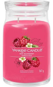 Yankee Candle Duża świeca zapachowa Signature Red Raspberry, 567 g, L