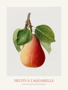 Reprodukcja Pear Watercolour Kitchen Fruit