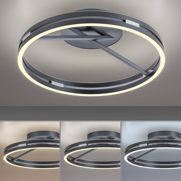 PURE Lampa sufitowa LED Loop, możliwość ściemniania, aluminiowy / szary / cynkowy, salon / jadalnia, aluminium, nowoczesny