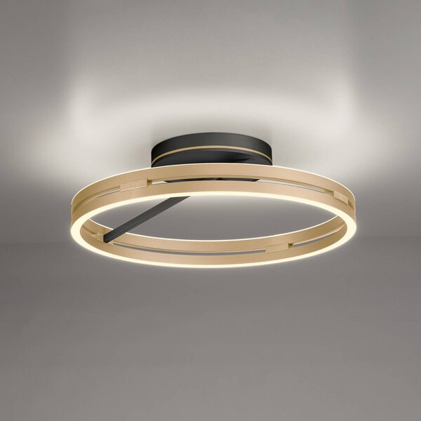 PURE Lampa sufitowa LED Loop, możliwość ściemniania, mosiężny / złoty, salon / jadalnia, aluminium, nowoczesny